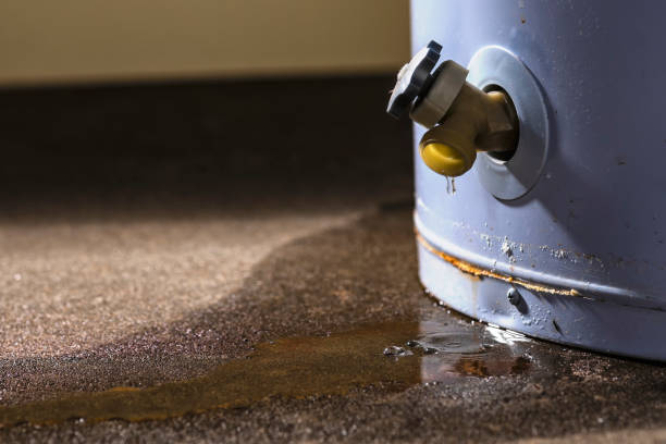 Best Mold removal after water damage  in Laredo, TX