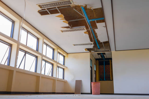 Best Water damage restoration experts  in Laredo, TX