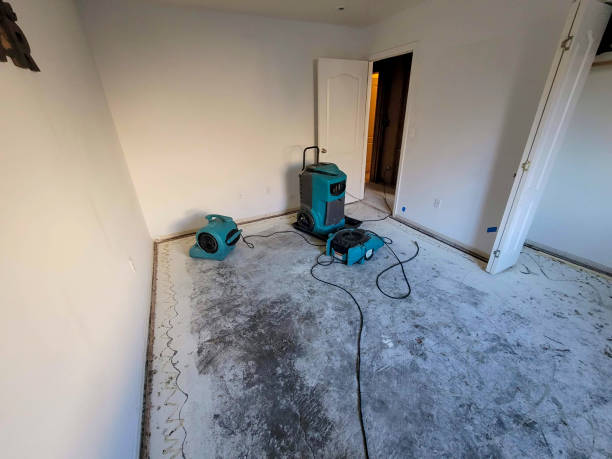 Laredo, TX Water damage restoration Company