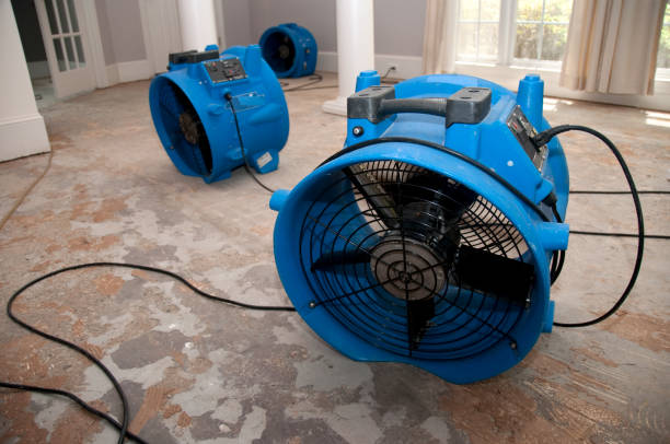 Best Fire Damage Restoration  in Laredo, TX
