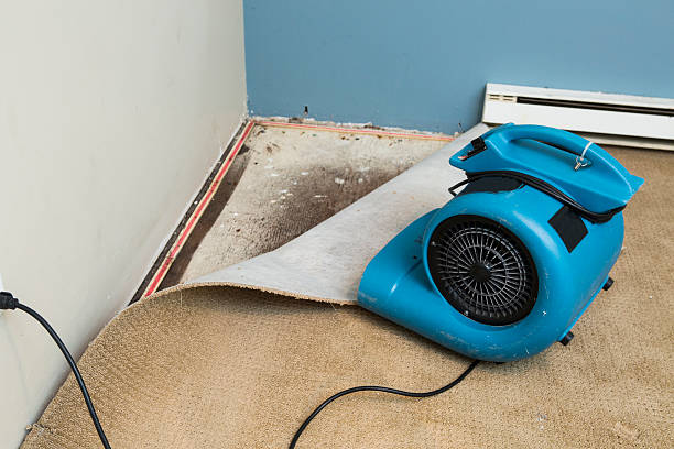 Best Water damage contractors near me  in Laredo, TX